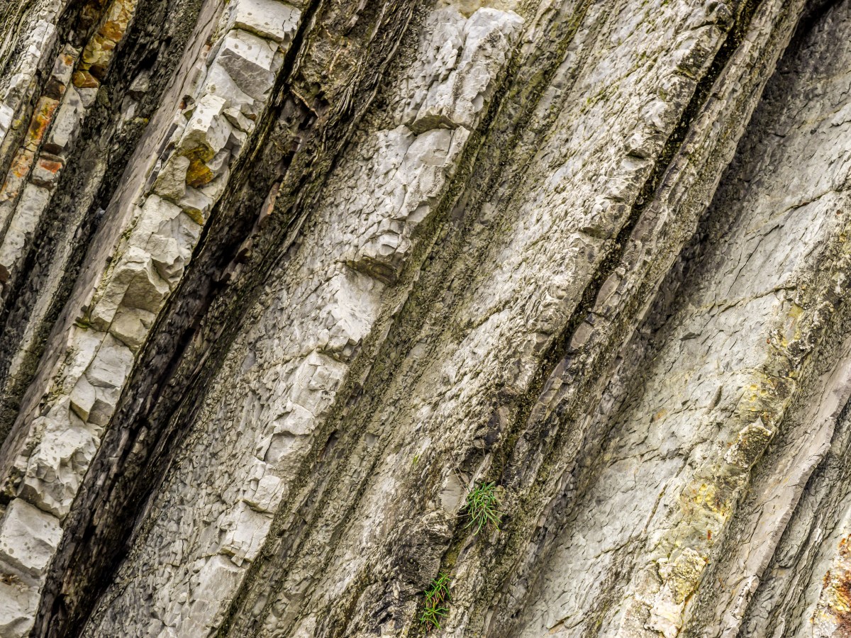 How can we tell the age of rocks and&nbsp;fossils?